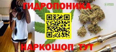 СК Мариинск